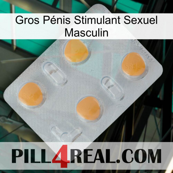 Gros Pénis Stimulant Sexuel Masculin 24